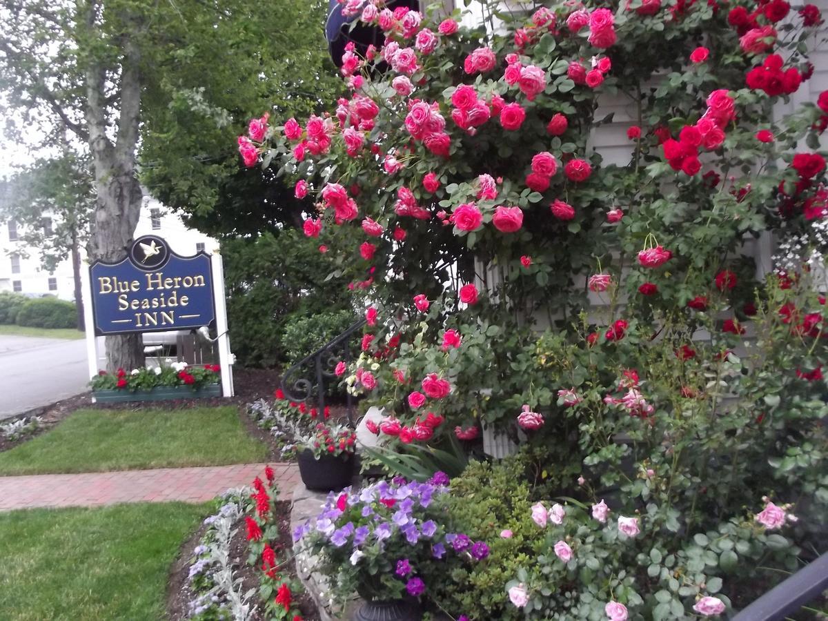 Blue Heron Seaside Inn Boothbay Harbor Exterior photo